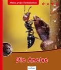 Cover: Meine gro&szlig;e Tierbibliothek: Die Ameise - Esslinger