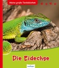 Cover: Meine gro&szlig;e Tierbibliothek: Die Eidechse - Esslinger