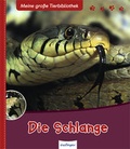 Cover: Die Schlange - Esslinger