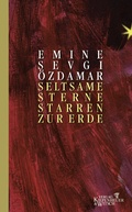 Cover: Seltsame Sterne starren zur Erde - Kiepenheuer & Witsch