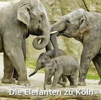 Abbildung von: Elefanten zu Köln - Kiepenheuer & Witsch