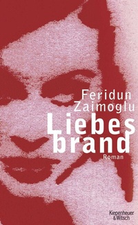 Abbildung von: Liebesbrand - Kiepenheuer & Witsch