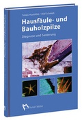 Cover: Hausf&auml;ule- und Bauholzpilze - Rudolf M&uuml;ller Verlag