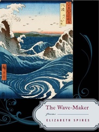 Enlarge image Cover: The Wave-Maker - W. W. Norton & Company