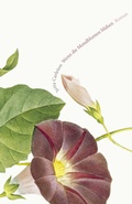 Cover: Wenn die Mondblumen bl&uuml;hen - Kiepenheuer & Witsch