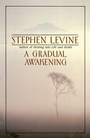 Cover: A Gradual Awakening - Bantam Books