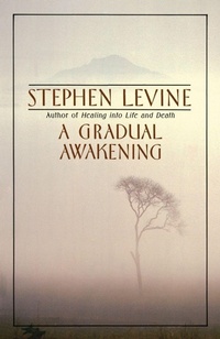 Enlarge image Cover: A Gradual Awakening - Bantam Books