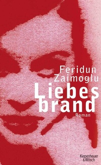 Abbildung von: Liebesbrand - Kiepenheuer & Witsch