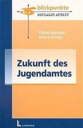Cover: Zukunft des Jugendamtes - Luchterhand