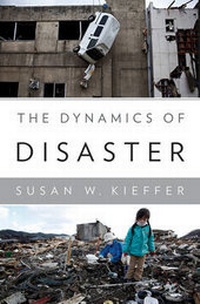 Enlarge image Cover: The Dynamics of Disaster - WW Norton & Co