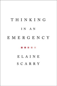 Enlarge image Cover: Thinking in an Emergency - W. W. Norton & Company