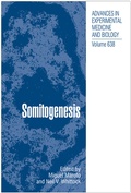 Bild: Somitogenesis - Springer