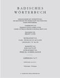 Cover: Schlenzangel-Schneegans - De Gruyter Oldenbourg