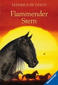 Cover: Flammender Stern - Ravensburger