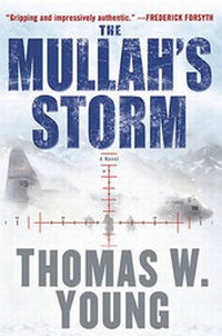 Enlarge image Cover: The Mullah's Storm - Putnam Adult