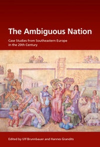 Enlarge image Cover: The Ambiguous Nation - De Gruyter Oldenbourg