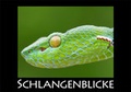 Cover: Schlangenblicke - Oldenbourg Wissenschaftsverlag