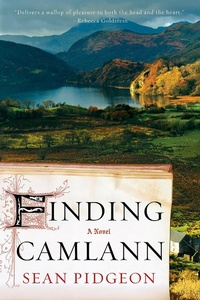 Abbildung von: Finding Camlann - W. W. Norton & Company