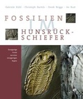 Cover: Fossilien im Hunsr&uuml;ck-Schiefer - Quelle & Meyer