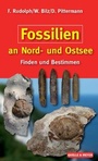 Bild: Fossilien an Nord- und Ostsee - Quelle & Meyer