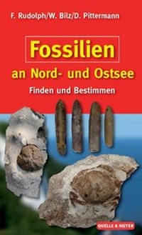 Bild vergrößern Bild: Fossilien an Nord- und Ostsee - Quelle & Meyer