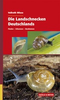 Cover: Die Landschnecken Deutschlands - Quelle & Meyer