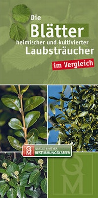 Abbildung von: Die Blätter heimischer und kultivierter Laubsträucher im Vergleich - Quelle & Meyer
