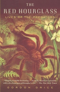 Abbildung von: The Red Hourglass - Random House USA Inc