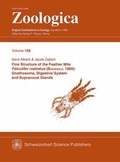 Cover: Fine Structure of the Feather Mite Falculifer rostratus (Buchholz 1869) (Acari, Falculiferidae) - Schweizerbart'sche, E.