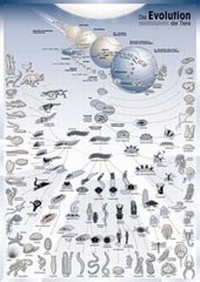 Enlarge image Cover: Die Evolution der Tiere - E. Schweizerbart