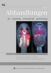 Abbildung von: The glass frog tadpoles of Costa Rica (Anura: Centrolenidae): A study of morphology - Schweizerbart'sche, E.