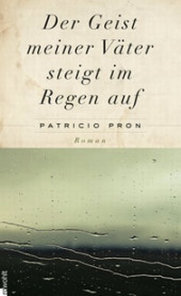 Abbildung von: Der Geist meiner Väter steigt im Regen auf - Rowohlt