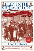 Cover: Been in the Storm So Long - Vintage Books