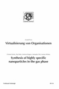 Cover: Virtualisierung von Organisationen. Synthesis of highly specific Nanoparticles in the gas phase - Brill Deutschland