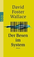 Cover: Der Besen im System - Rowohlt Taschenbuch