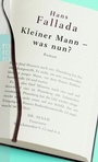 Cover: Kleiner Mann - was nun? - Rowohlt Taschenbuch