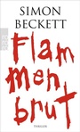 Cover: Flammenbrut - Rowohlt Taschenbuch