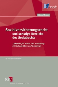 Abbildung von: Sozialversicherungsrecht und sonstige Bereiche des Sozialrechts - Erich Schmidt Verlag