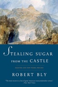 Cover: Stealing Sugar from the Castle - W. W. Norton & Company