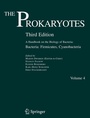 Cover: The Prokaryotes - Springer