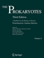 Cover: The Prokaryotes - Springer