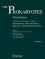 Cover: The Prokaryotes - Springer