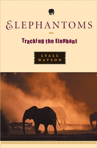 Enlarge image Cover: Elephantoms - W. W. Norton & Company