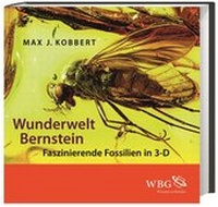 Abbildung von: Wunderwelt Bernstein - Wissenschaftliche Buchgesellschaft (WBG)
