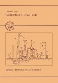 Abbildung von: Gasification of Rice Hulls - Vieweg+Teubner Verlag