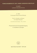 Cover: Photochemische Energie&uuml;bertragung in mizellaren L&ouml;sungen - VS Verlag f&uuml;r Sozialwissenschaften