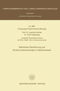 Cover: Elektrische &Uuml;berf&uuml;hrung und Strukturuntersuchungen in Salzschmelzen - VS Verlag f&uuml;r Sozialwissenschaften