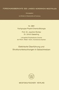 Cover: Elektrische &Uuml;berf&uuml;hrung und Strukturuntersuchungen in Salzschmelzen - VS Verlag f&uuml;r Sozialwissenschaften