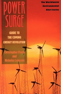 Enlarge image Cover: Power Surge - WW Norton & Co