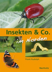 Abbildung von: Insekten & Co. - Wachholtz